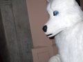DSCF2855.JPG